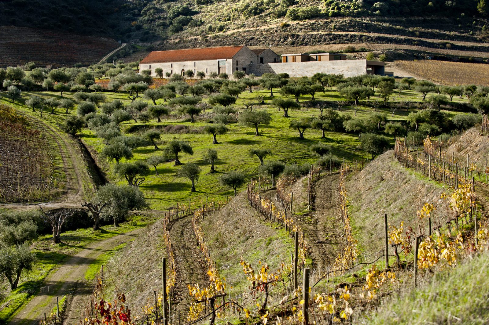 Quinta do Vale de Meão – Mercado de Vinos
