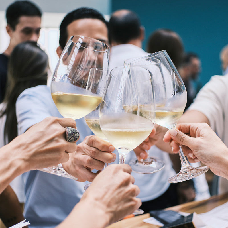 Vinos para Principiantes