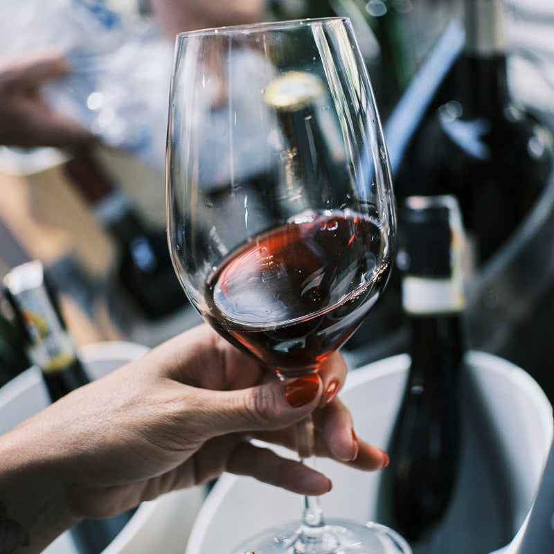 Club de Vinos MDV