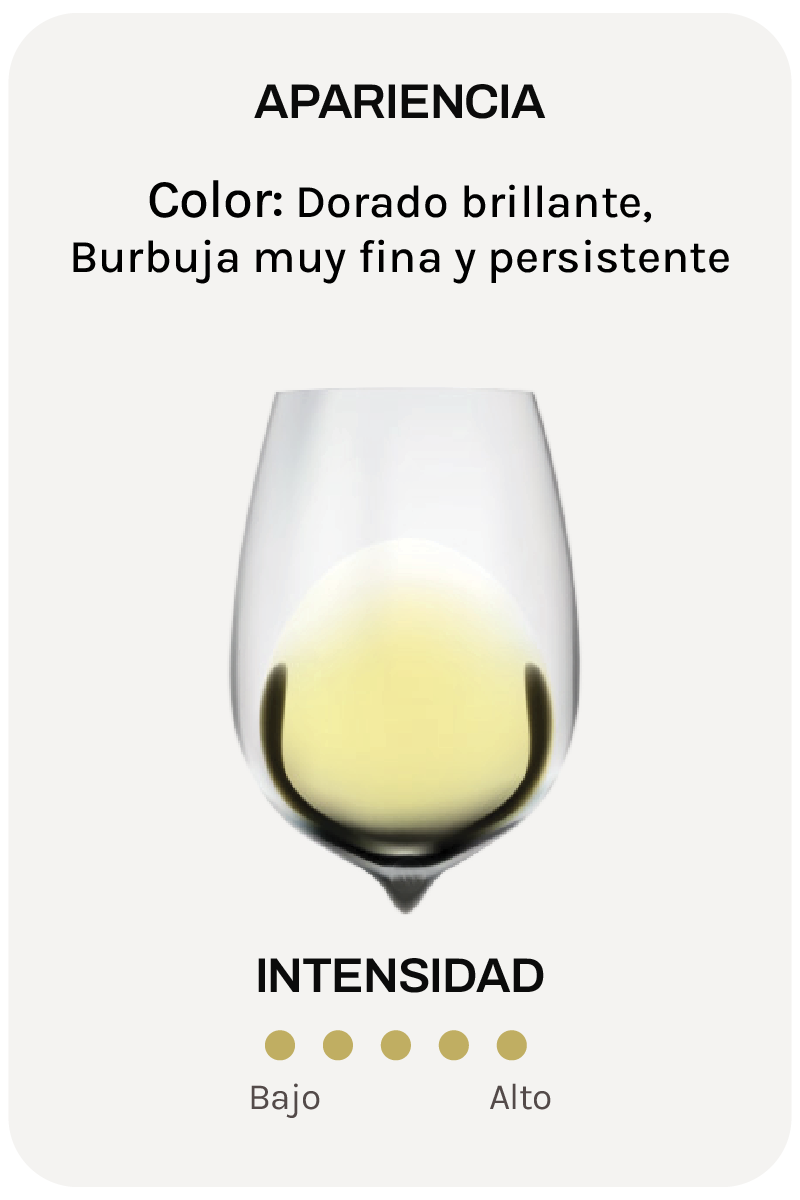 Alta Alella 10 Gran Reserva
