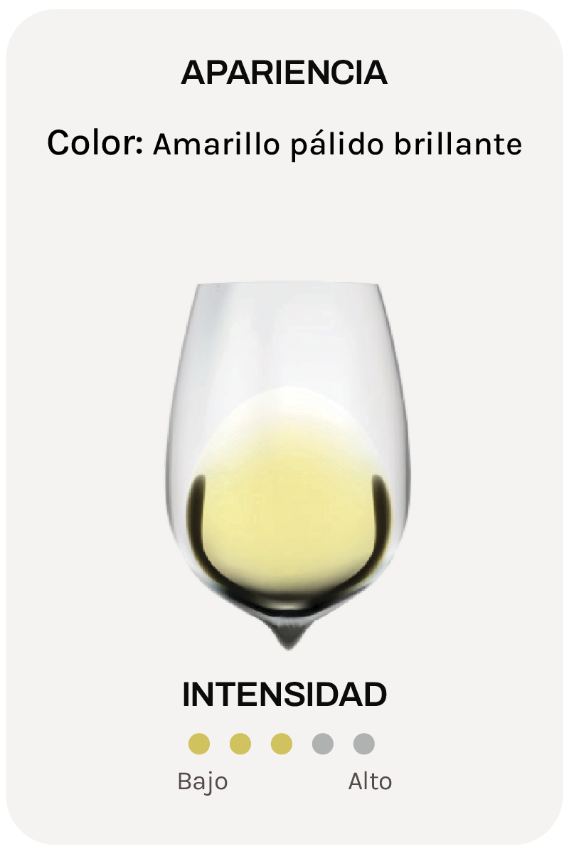 Alta Alella Parvus Chardonnay