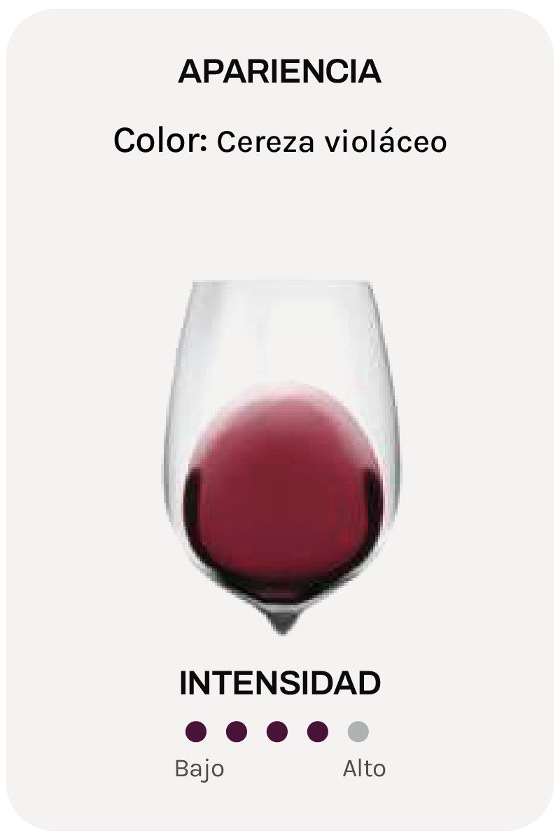 Alta Alella Parvus Syrah