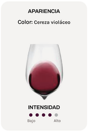 Alta Alella Parvus Syrah