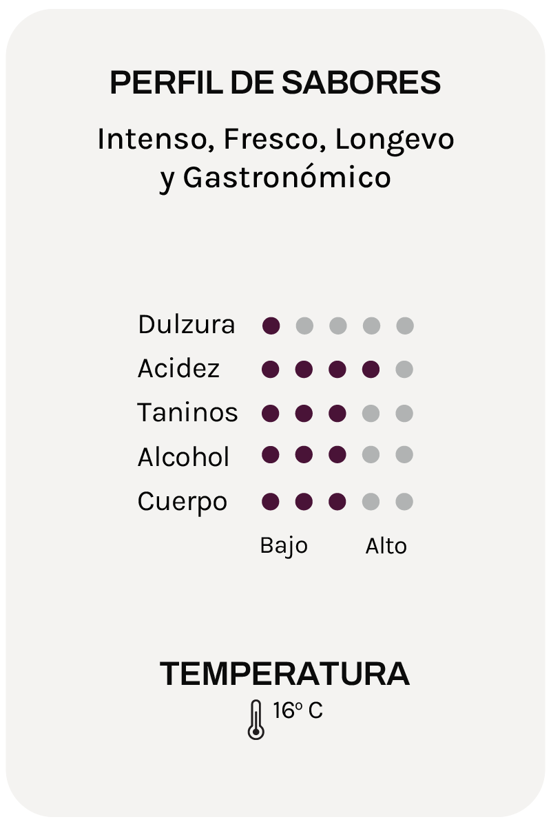Alta Alella Parvus Syrah