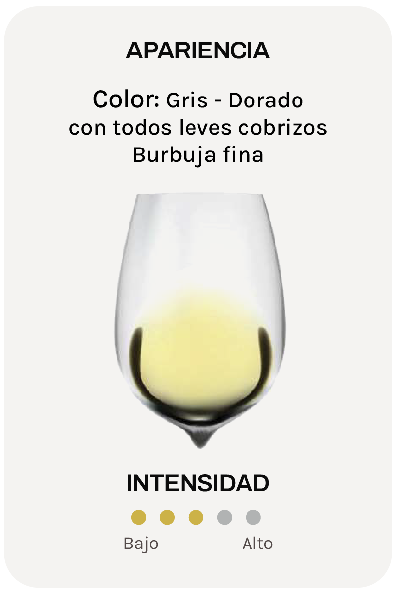 Alta Alella Capsigrany