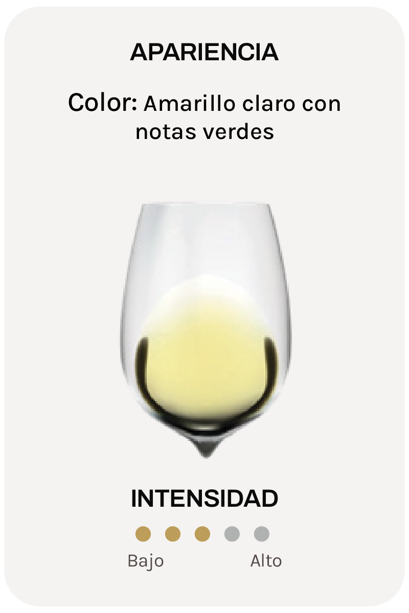 Duca Chardonnay