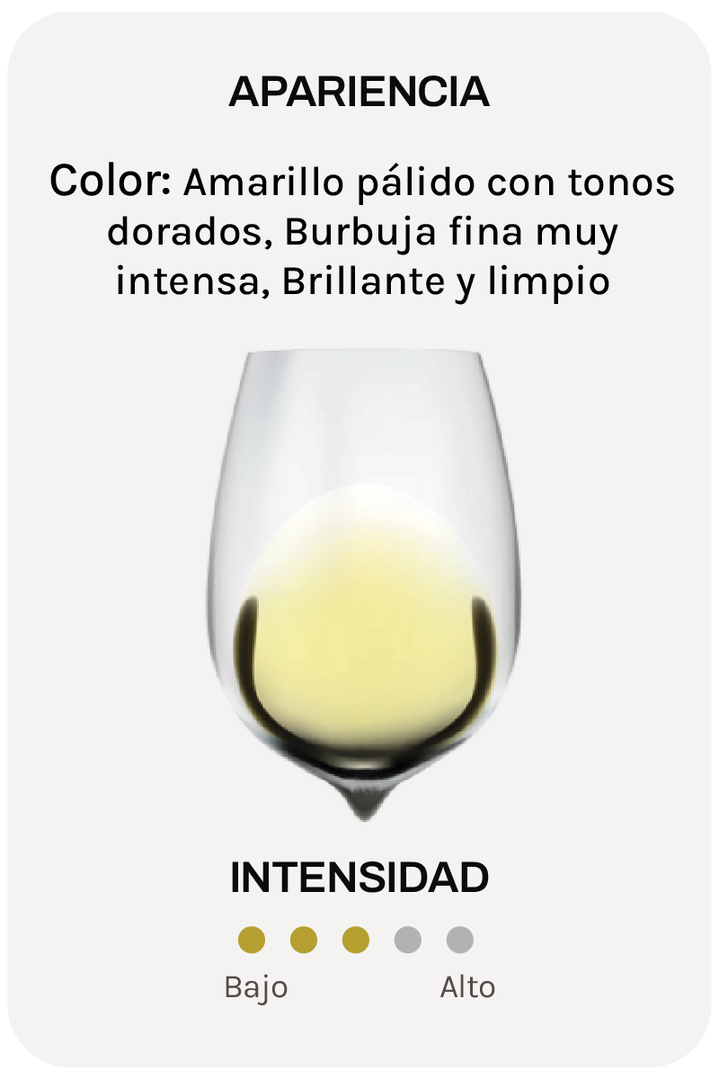 Alta Alella Laietá Gran Reserva