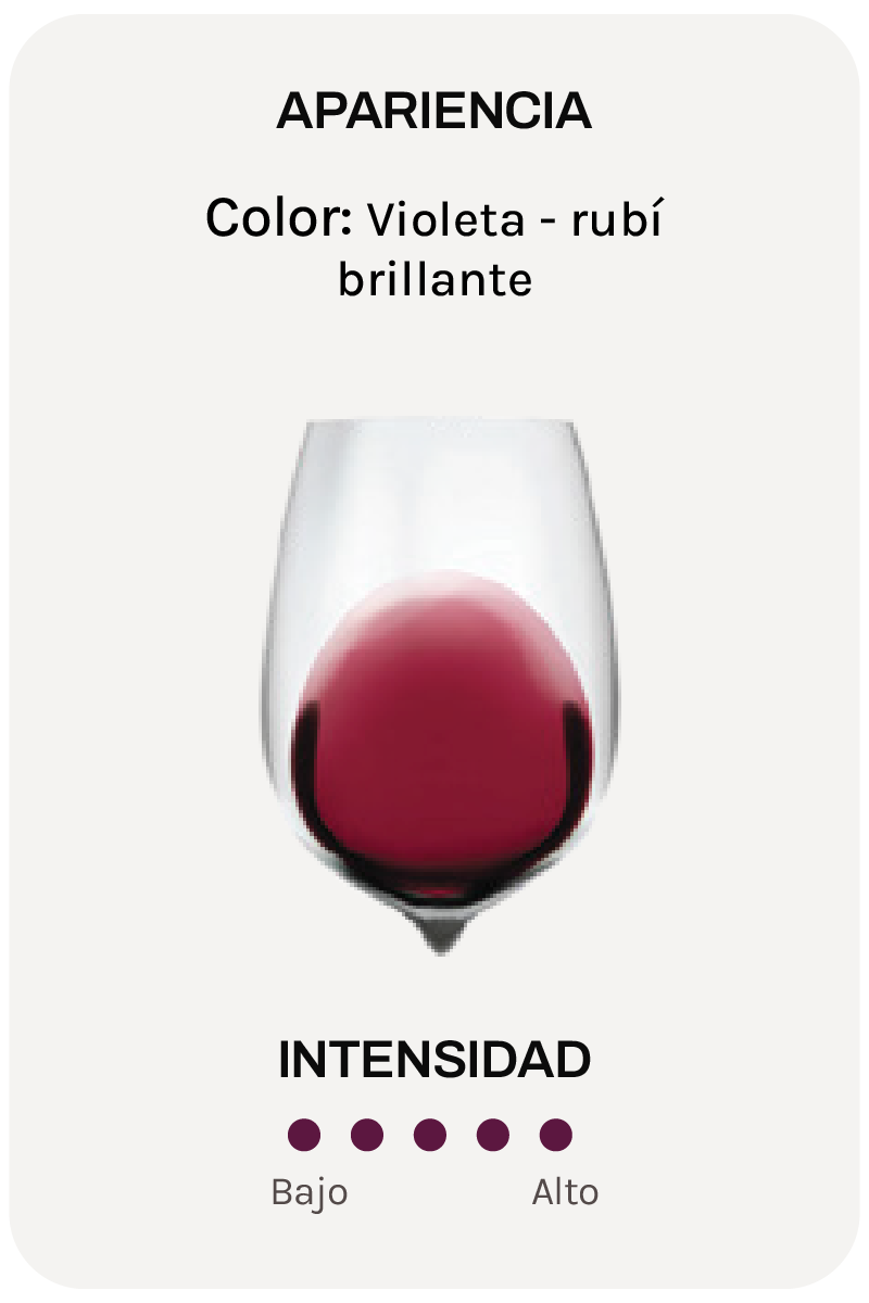 Quinta do Vale Meão Finest Port