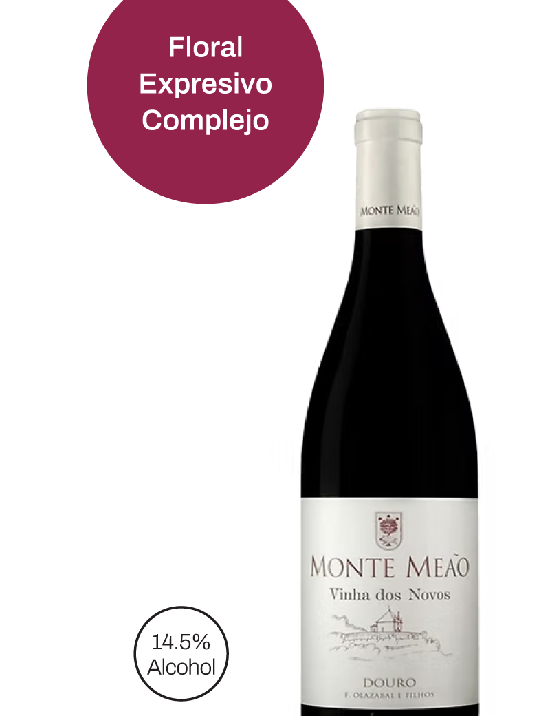 MONTE-MEAO-VINHA-DOS-NOVOS-1.png
