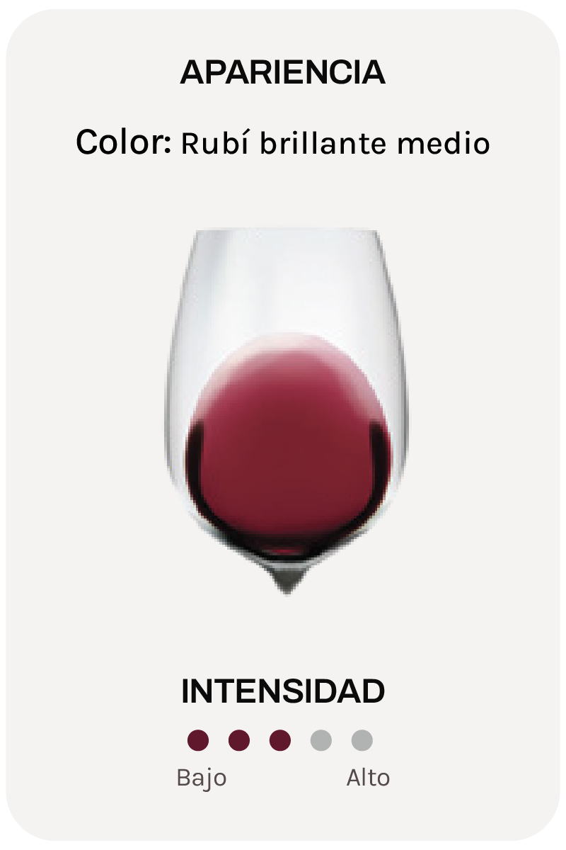 Malenchini Chianti Coli Fiorentini