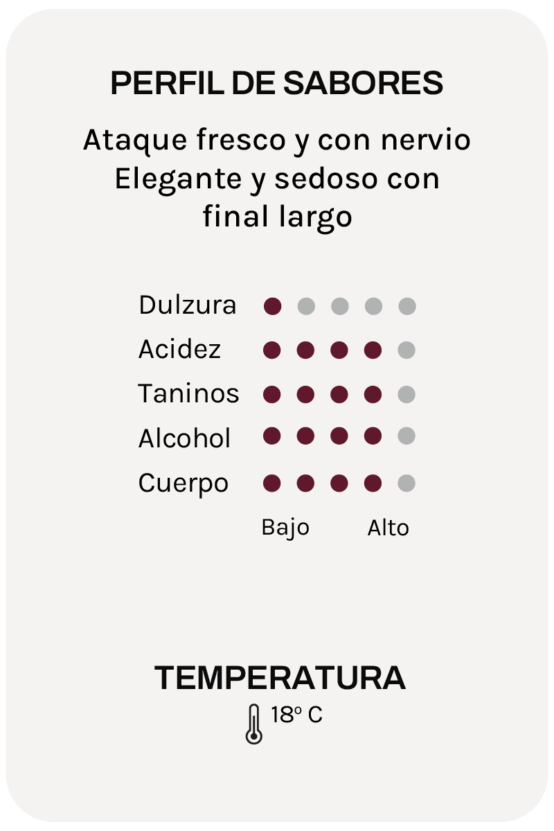 Malenchini Chianti Coli Fiorentini Riserva