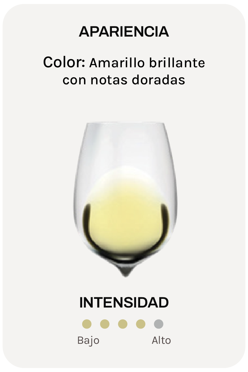 Menade La Misión