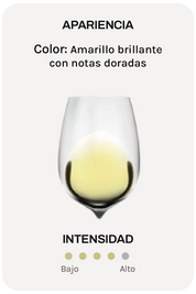 Menade La Misión