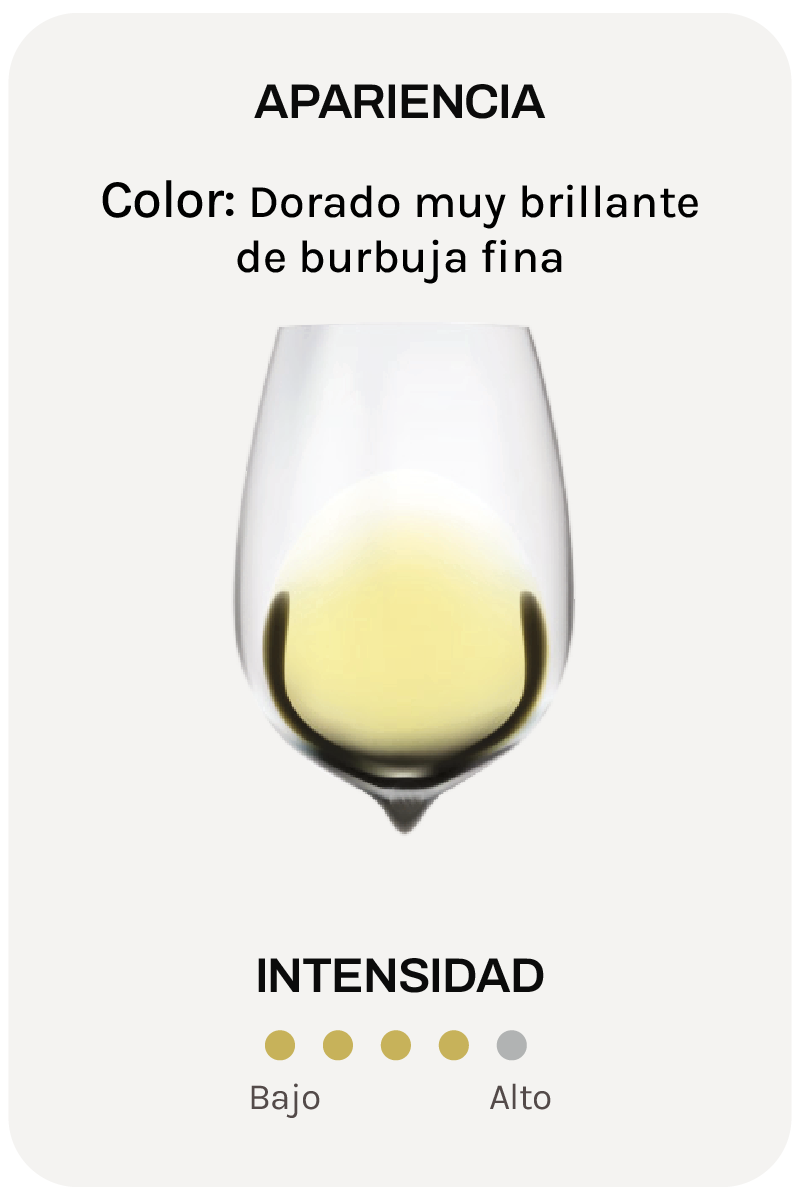 Alta Alella Mirgin Exxeo