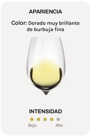 Alta Alella Mirgin Exxeo