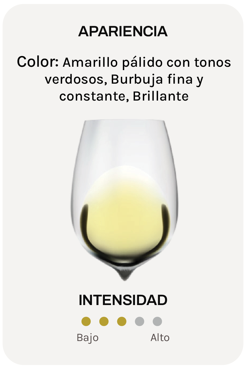 Alta Alella Mirgin Gran Reserva