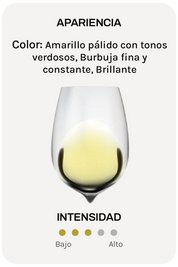 Alta Alella Mirgin Gran Reserva