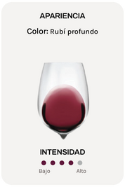 Ostatu Selección