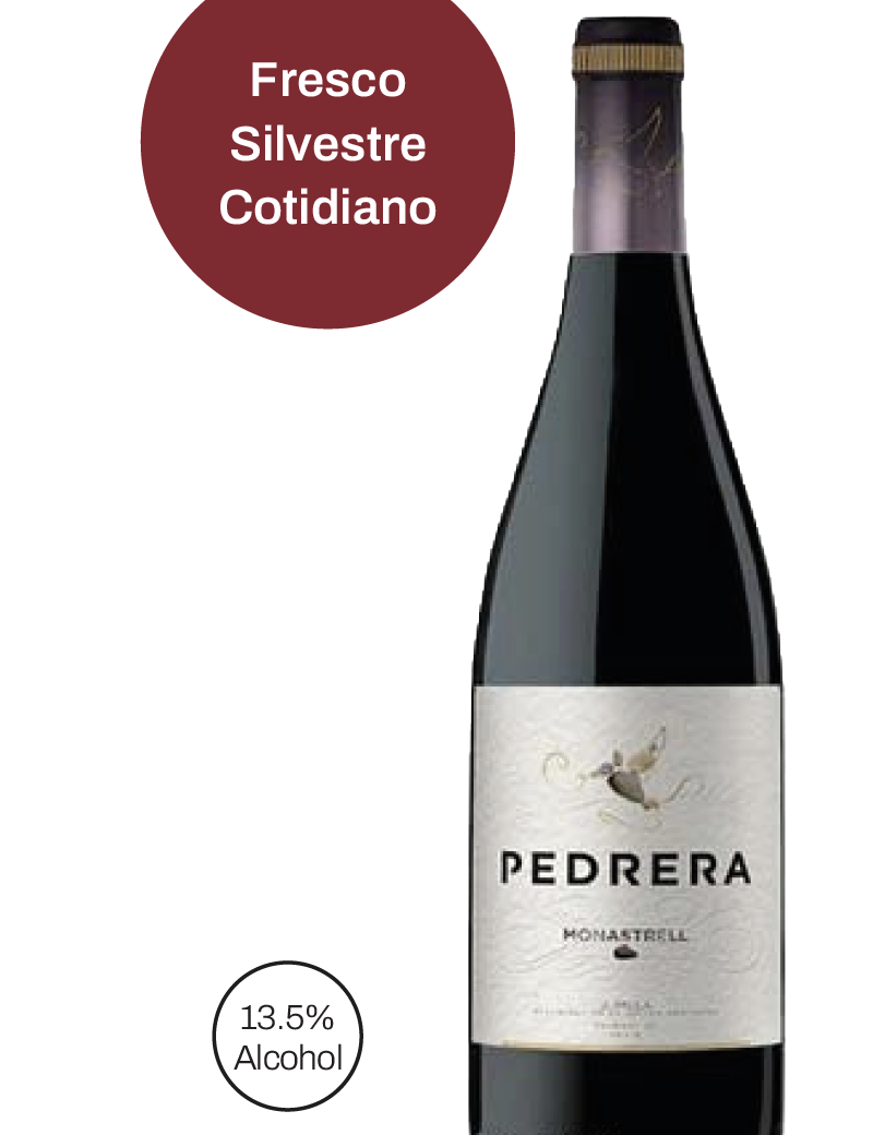 PedreraTinto-01.png