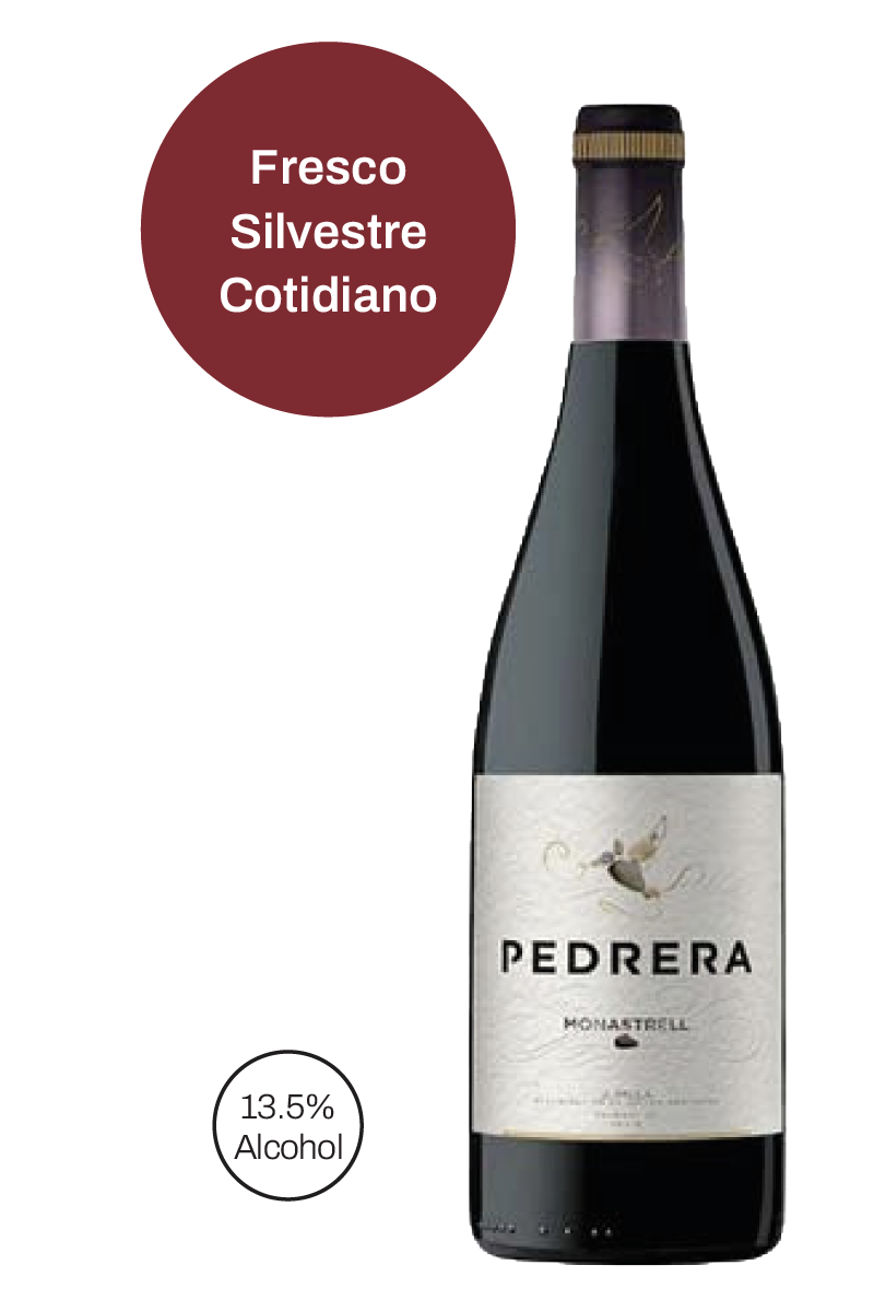 Pedrera Tinto