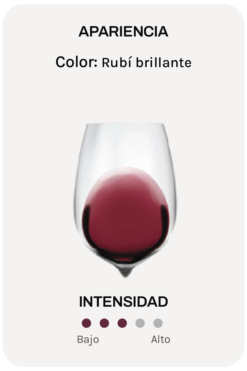 Pedrera Tinto