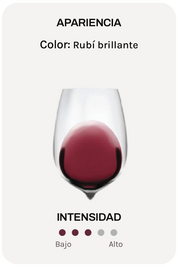 Pedrera Tinto