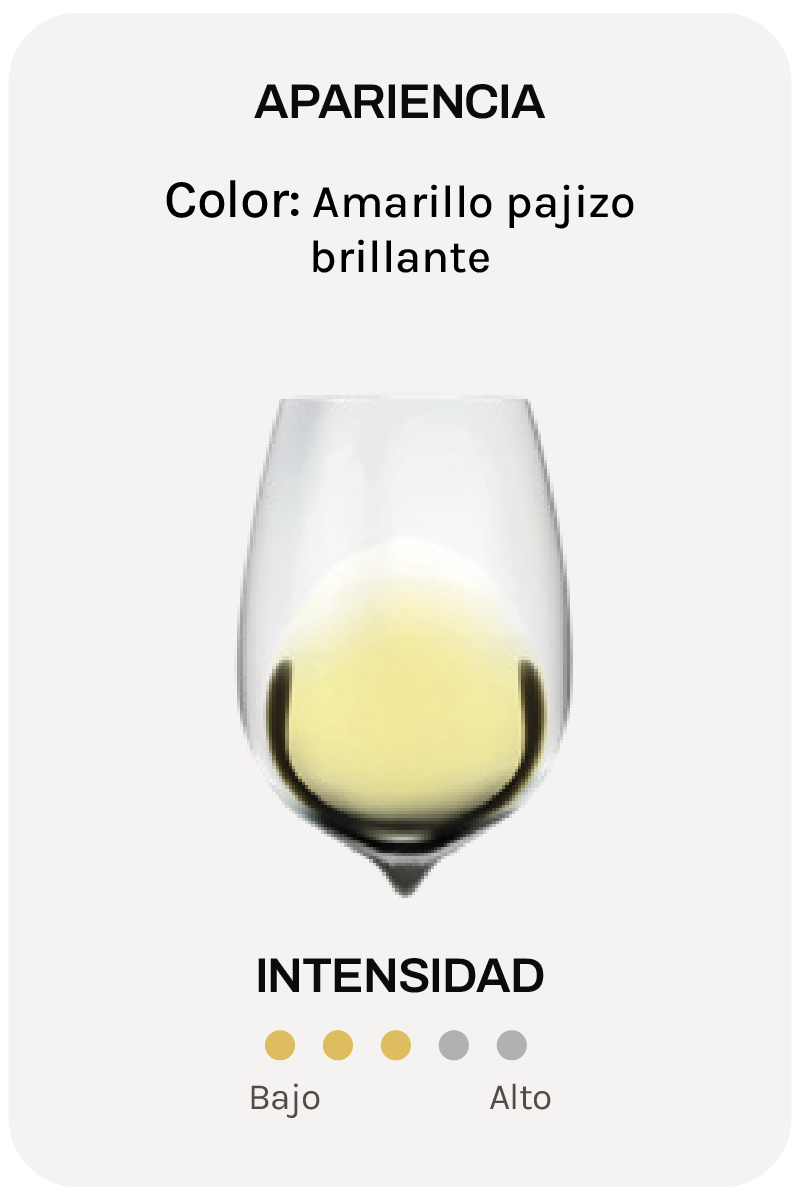 Pieropan Soave Classico