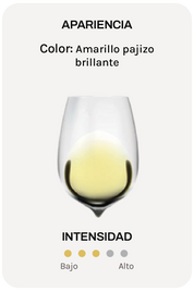 Pieropan Soave Classico